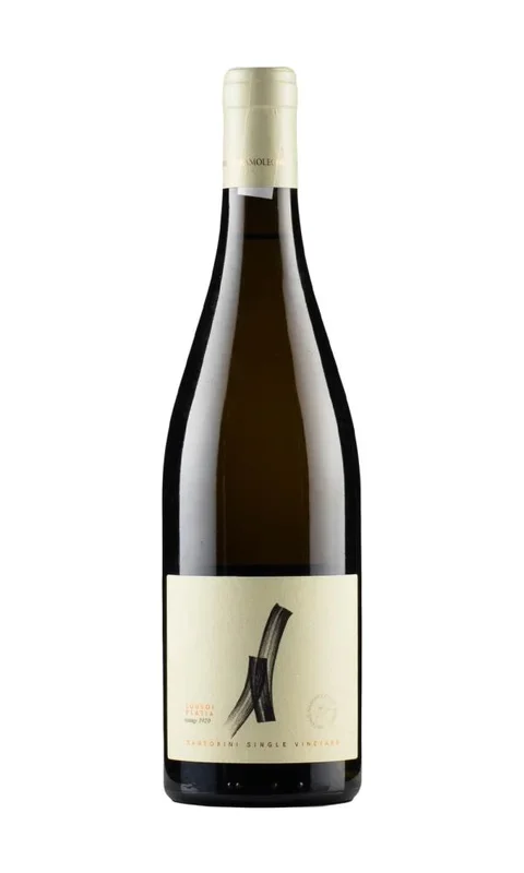 2020 | Artemis Karamolegos | Louroi Platia