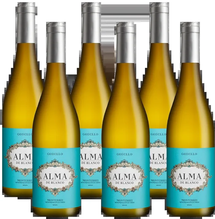 Alma Godello – 6 Bottle Case
