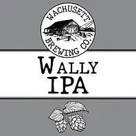 Beer Wachusett Brewing Co. 6pk Wally
