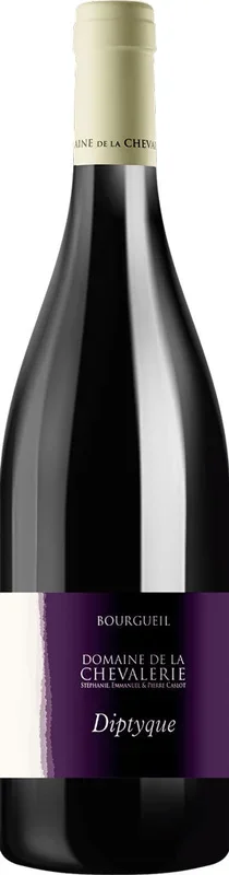 Domaine de la Chevalerie Bourgueil Diptyque 2020 750ml