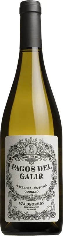 Pagos del Galir Valdeorras Godello 2021 750ml