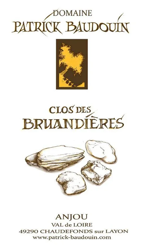 White Wine Patrick Baudouin Anjou Blanc ‘Le Clos de Bruandieres